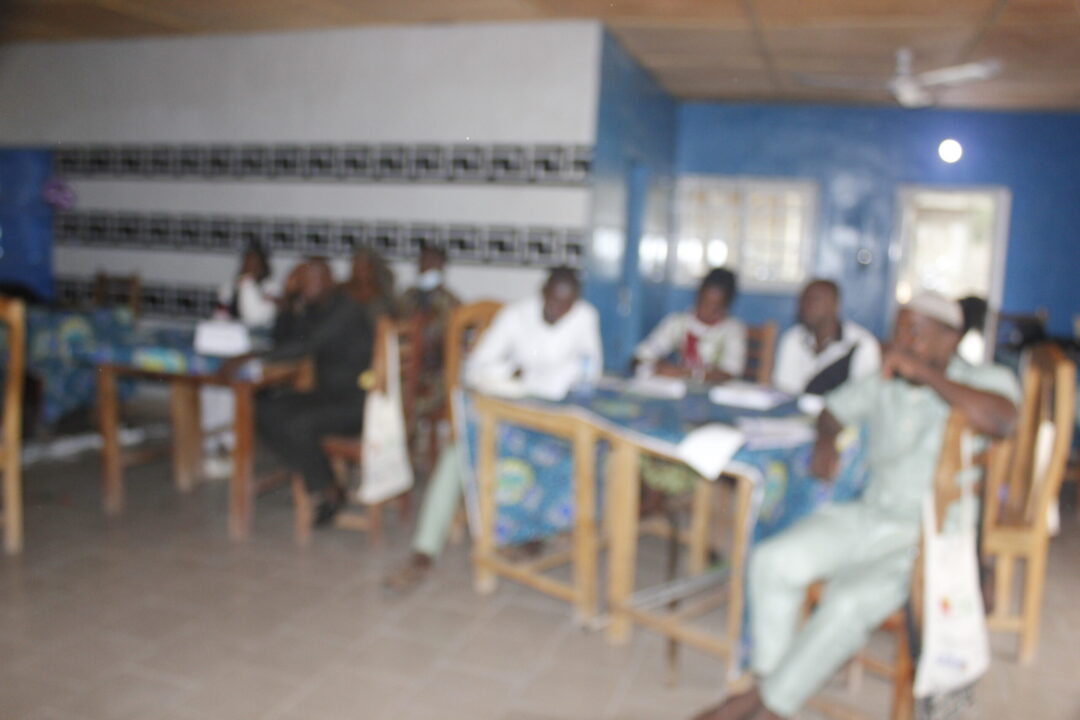 Capacity building workshop for the AUSPu of the Commune of Bantè